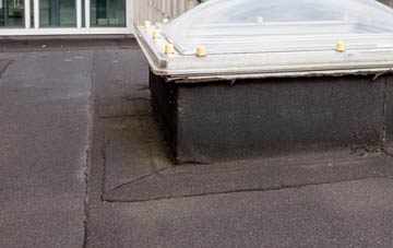 disadvantages of Cowes flat roofs