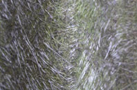 Cowes fibreglass roof work